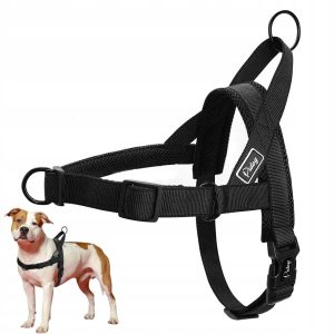 Szelki treningowe Easy Walk dla psa Dark Black M - 1 zdjęcie