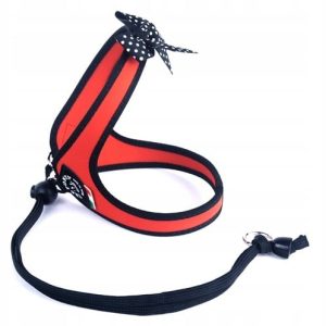 Szelki York 30-40cm Tre Ponti fashion kokarda 1,5 - 1 zdjęcie