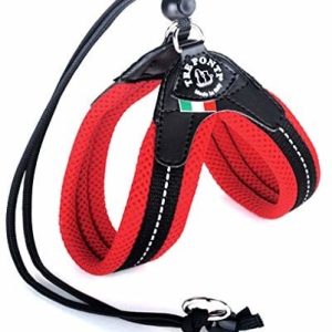 Treponti Do Tre Ponti Easy Fit Soft Mesh Czerwony za pomocą kurdel zastawa stołowa na 42  47 cm do ok. 7 kg - 1 zdjęcie