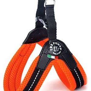 Treponti TRE Ponti  Fibbia Mały pies Mesh naczynia, pomarańczowy neonowy TF226AR - 1 zdjęcie