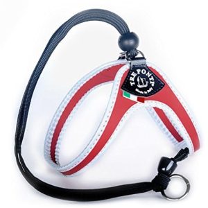 Treponti Tre Ponti gesschirr Easy Fit Classic odblaskową krawędź Czerwony za pomocą sznurka 25  29 cm do ok. 3 kg - 1 zdjęcie