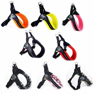Treponti Tre Ponti RR200 Easy Fit Soft uprząż dla psa z zapięciem na Click  regulowany, zielony neonowy - 1 zdjęcie