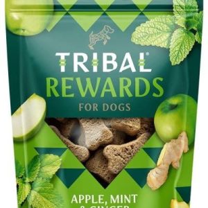 Tribal Tribal Rewards jabłko mięta imbir 125g - 1 zdjęcie