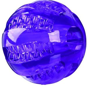 Trixie 33680 denta Fun ball, mint Fresh, TPR 4011905336800 - 1 zdjęcie