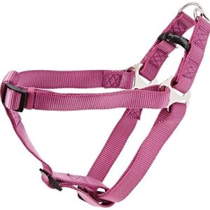 Trixie Premium pasek zabawka, xs-s, granatowy (Beere) 4011905204383 - 1 zdjęcie