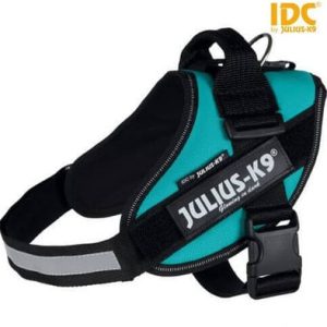 Trixie Szelki Julius-K9 IDC 1/L 63-85 cm/50 mm Petrol DARMOWA DOSTAWA OD 95 ZŁ! - 1 zdjęcie