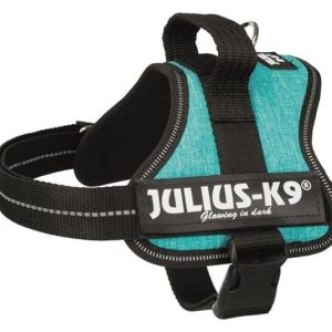 Trixie Szelki Julius-K9 Mini/M 5167 cm/28 mm morski błękit - 1 zdjęcie