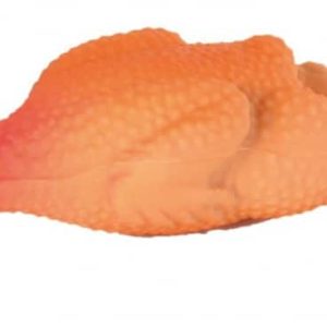 Trixie Zabawki Kurczak lateksowy 47cm nr kat. 3539 - 1 zdjęcie
