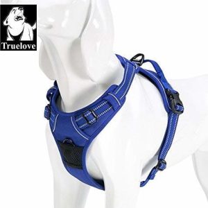 True Love tlh5651 Dog Outdoor Harness, l, królewski błękit - 1 zdjęcie