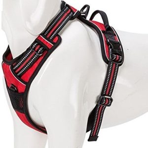 True Love tlh5651 Dog Outdoor Harness, m, czerwony - 1 zdjęcie