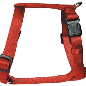 Zolux Cushion szelki taśma 20mm - kol. czerwony Dostawa GRATIS od 99 zł + super okazje - 1 zdjęcie