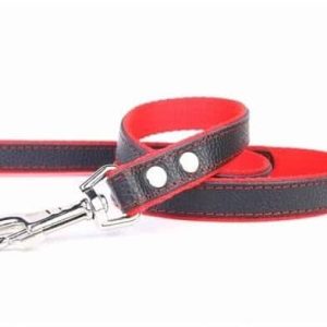 Zooleszcz Smycz skórzana 12 mm 120 cm czerwona - 1 zdjęcie