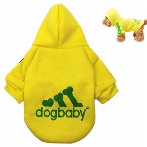 Adidog Bluza Dres York Szpic Mały Maltańczyk S Żół - 1 zdjęcie