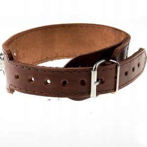 Bardzo Mocna obroża tropowa skóra kark bydlęcy 5cm - 1 zdjęcie