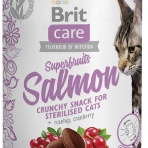 Brit Brit Care Cat Snack Superfruits Salmon 100g - 1 zdjęcie