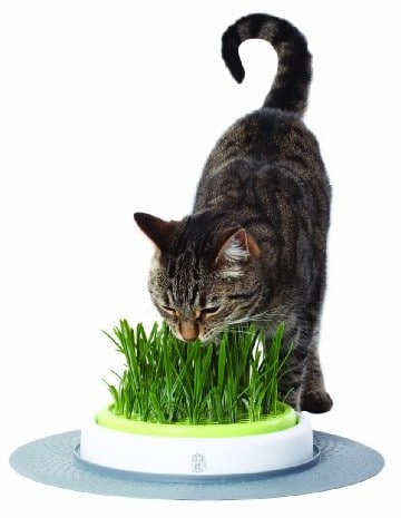 Catit Zestaw ogrodowy catit wzornictwo Senses  trawy - 1 zdjęcie