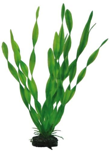 Hobby Vallisneria sztuczna roślina do akwariów, 34 cm - 1 zdjęcie