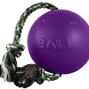 Jolly Pets romp-N-Roll ball, fioletowy 608 PR - 1 zdjęcie