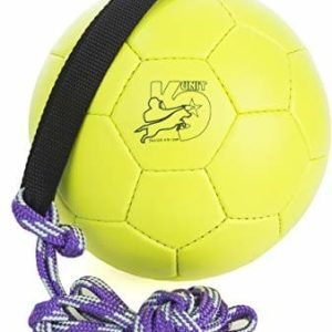 JULIUS K-9 Julius K9 specjalnej pianki Training ball, 170 mm, żółty - 1 zdjęcie