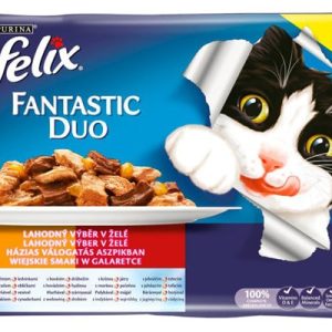 Purina Felix Fantastic Duo mix mięsny 4x100g - 1 zdjęcie