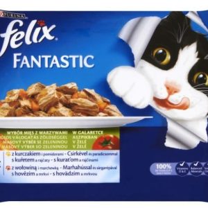 Purina Felix Fantastic karma dla kota 2x z wołowiną, 2x z kurczakiem w galaretce 4x100g - 1 zdjęcie