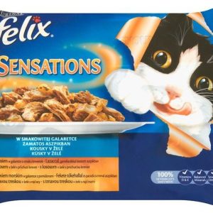 Purina Felix Sensations karma dla kota z łososiem w galaretce 4x100g - 1 zdjęcie