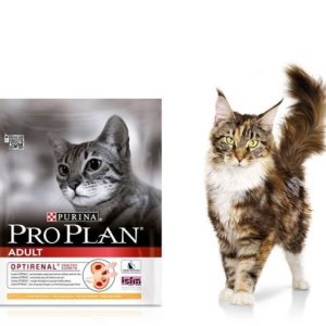 Purina Pro Plan Adult Optirenal 0,4 kg - 1 zdjęcie