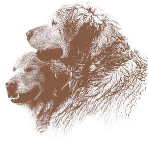 Renske Dog BIO organiczna wołowina 500 g - 1 zdjęcie