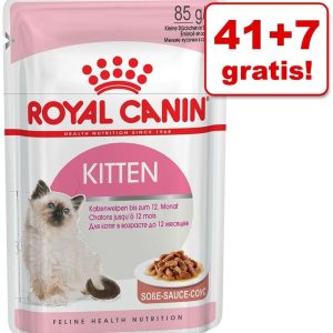 Royal Canin CAT Digest Sensitive w sosie saszetka 85g - 1 zdjęcie