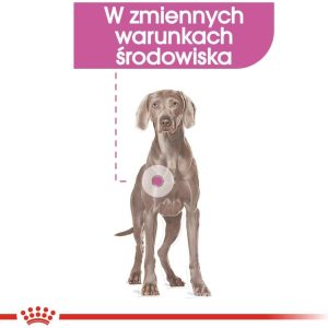 Royal Canin CCN Maxi Relax Care 9 kg - 1 zdjęcie