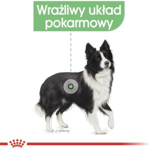 Royal Canin CCN Medium Digestive Care 10 kg - 1 zdjęcie