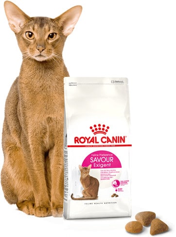 Royal Canin Exigent Savour Sensation 4 kg - 2 zdjęcie
