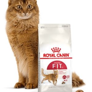 Royal Canin Fit 0,4 kg - 1 zdjęcie