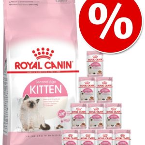 Royal Canin Kitten 36 20 kg - 1 zdjęcie