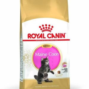 Royal Canin Kitten Maine Coon 2 kg - 1 zdjęcie