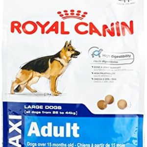 Royal Canin masło dla psów Maxi Adult 26, 4 kg - 1 zdjęcie