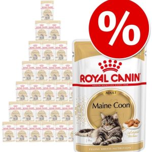 Royal Canin Royal Canin British Shorthair 85g ## CHARYTATYWNY SKLEP ## 100% ZYSKU SKLEPU NA POMOC PSIAKOM :) - 1 zdjęcie
