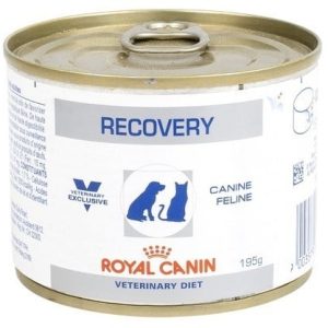 Royal Canin Veterinary Diet Recovery Puszka 195G - 1 zdjęcie