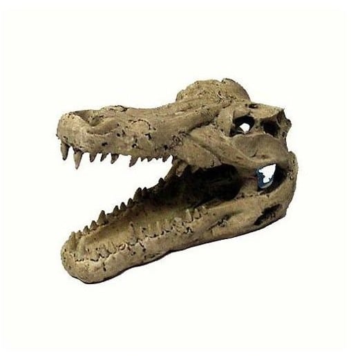 Trixie Dekoracja Czaszka Krokodyla 14cm TX-8712 - 1 zdjęcie