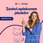 Domowa opieka dla psów – nowy standard na rynku