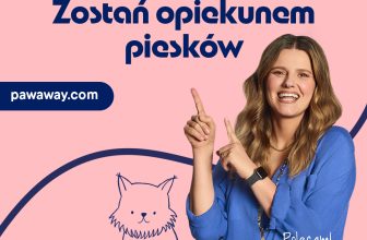 Domowa opieka dla psów – nowy standard na rynku