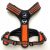 All For Dogs Szelki 3x-Sport Pomarańczowe Xs
