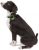 Altranet Weenect GPS Tracker dla psów, czarny i zielony, 7810