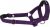 Ami Play Halter Basic M N3 Cocker Spaniel 17-32 [a] x 39-50 [b] x 2 cm Fioletowy 5907563209831