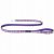 Ami Play Smycz dla Psa Wink S 140x1cm Fioletowy