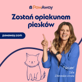 Domowa opieka dla psów – nowy standard na rynku