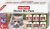 Beaphar Nieren Mix Pack dla kotów z niewydolnością nerek 6x100g 10884