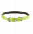 Dingo Obroża Dla Psa-energy zielona 1,2×45 cm