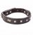 Dingo Obroża Ozdobna Z Filcem 2×50 32-40cm 13749