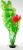 Hailea Roślina akwariowa Onowodek kwitnący 30 cm
